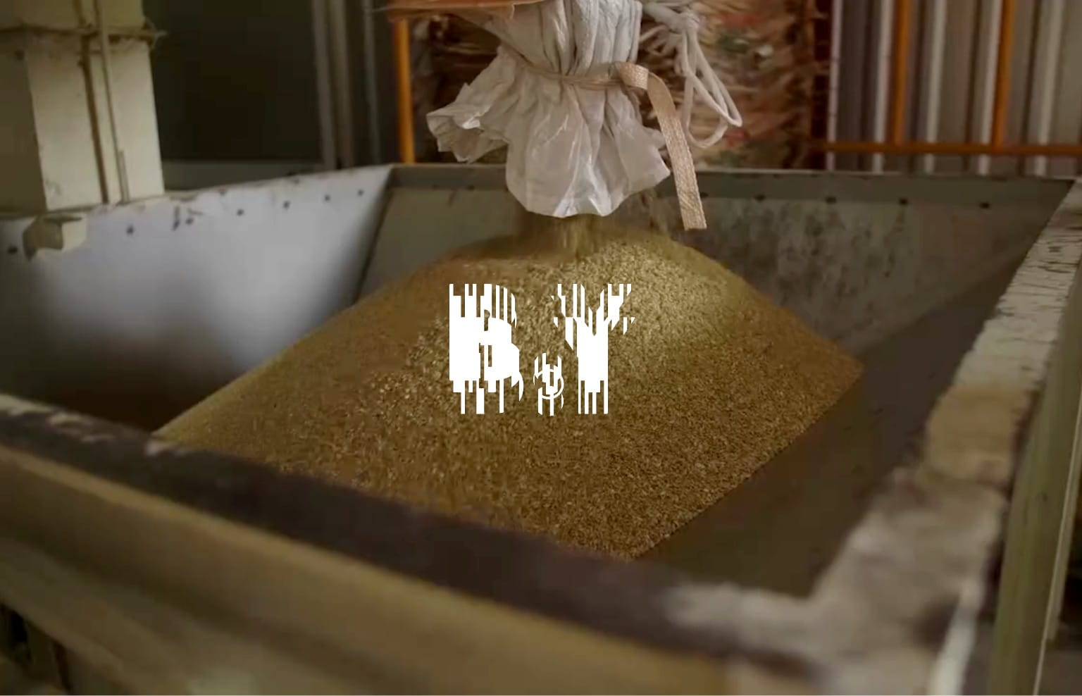 B.Y Topアニメーション