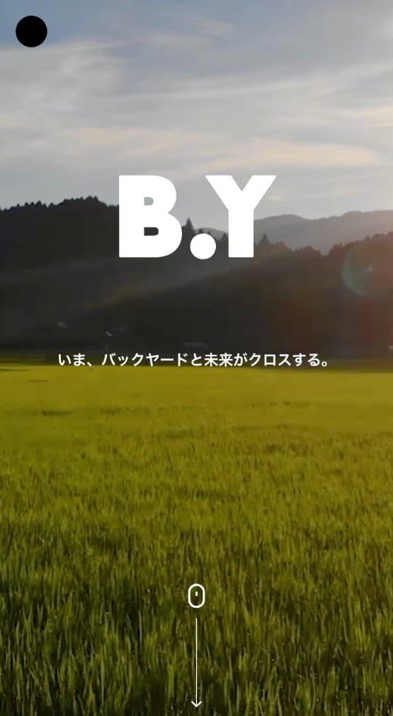 、B.Y SmartPhone View